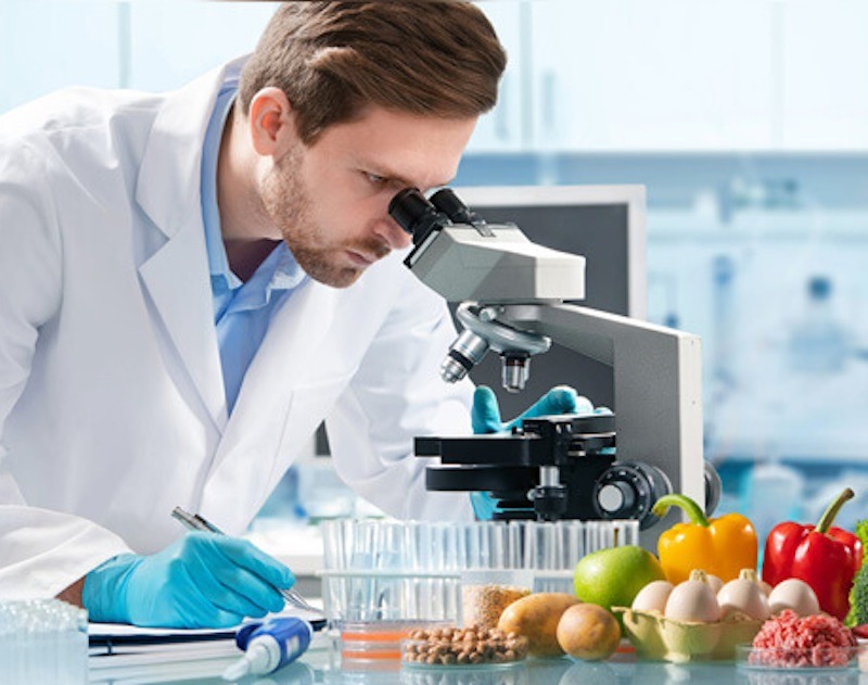 Dubai Municipality Food Safety Approval service